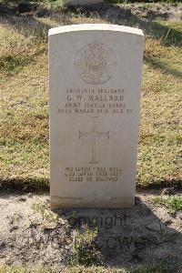 Ismailia War Memorial Cemetery - Mallard, George William